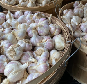 Hudson Valley Organic Porcelain Garlic - FREE Shipping